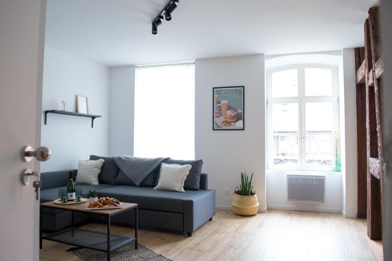 Apartmán La Pomme Du President I Sélestat Exteriér fotografie